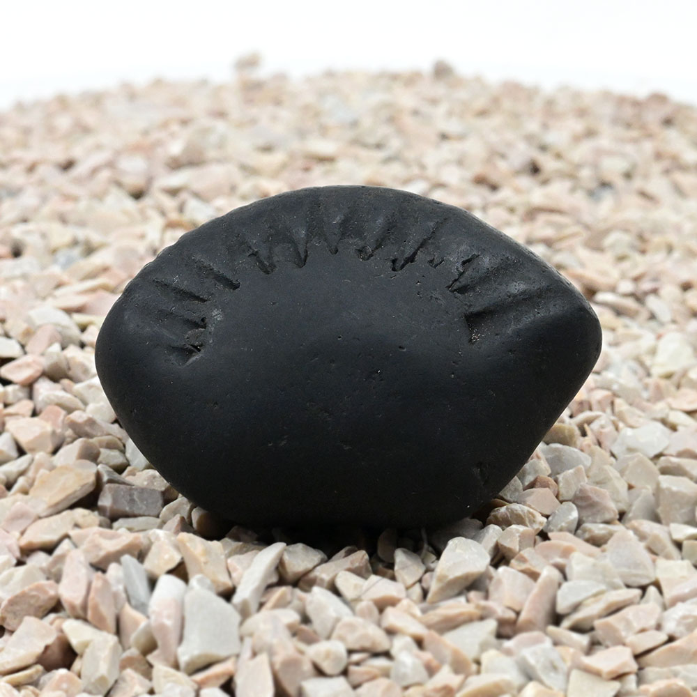 Surya Laxmi Narayan Shaligram Shila