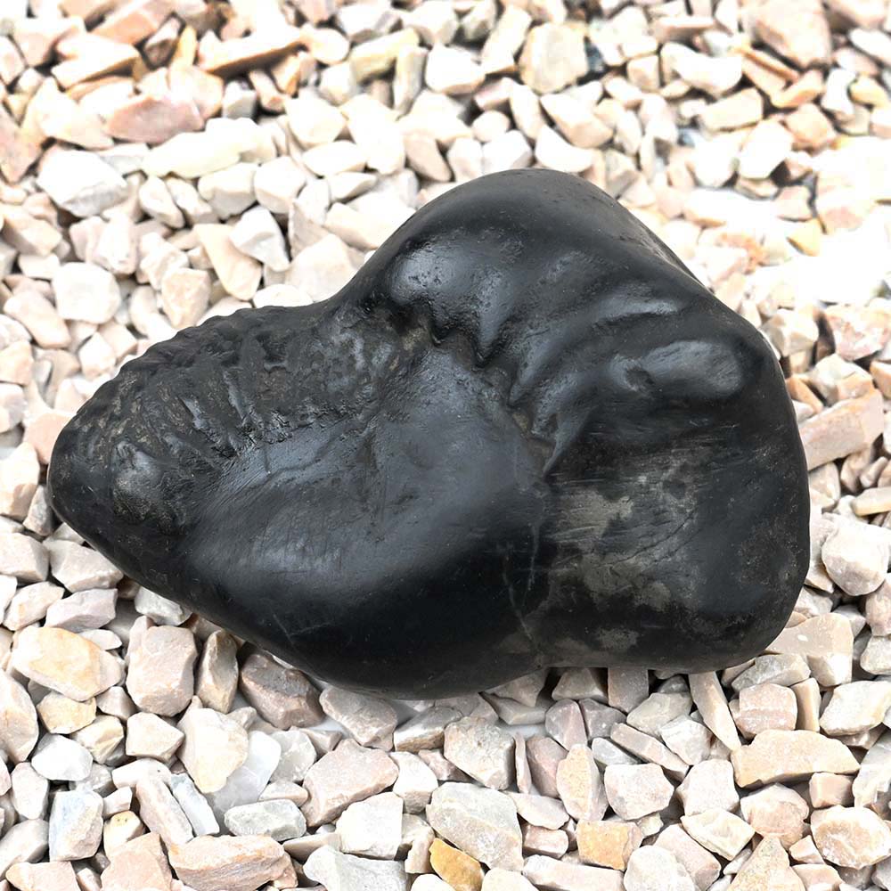 Golden Garud Shaligram Shila
