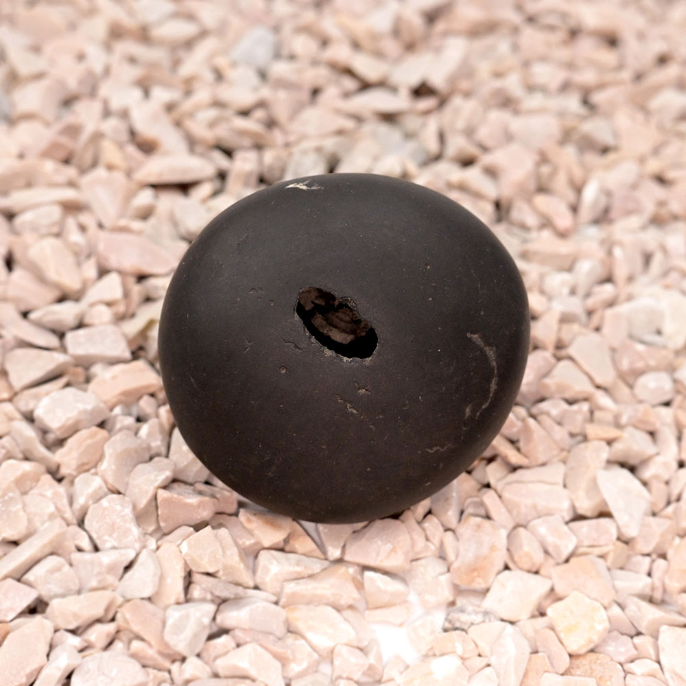 Kamal Narayan Narsima Shaligram Shila