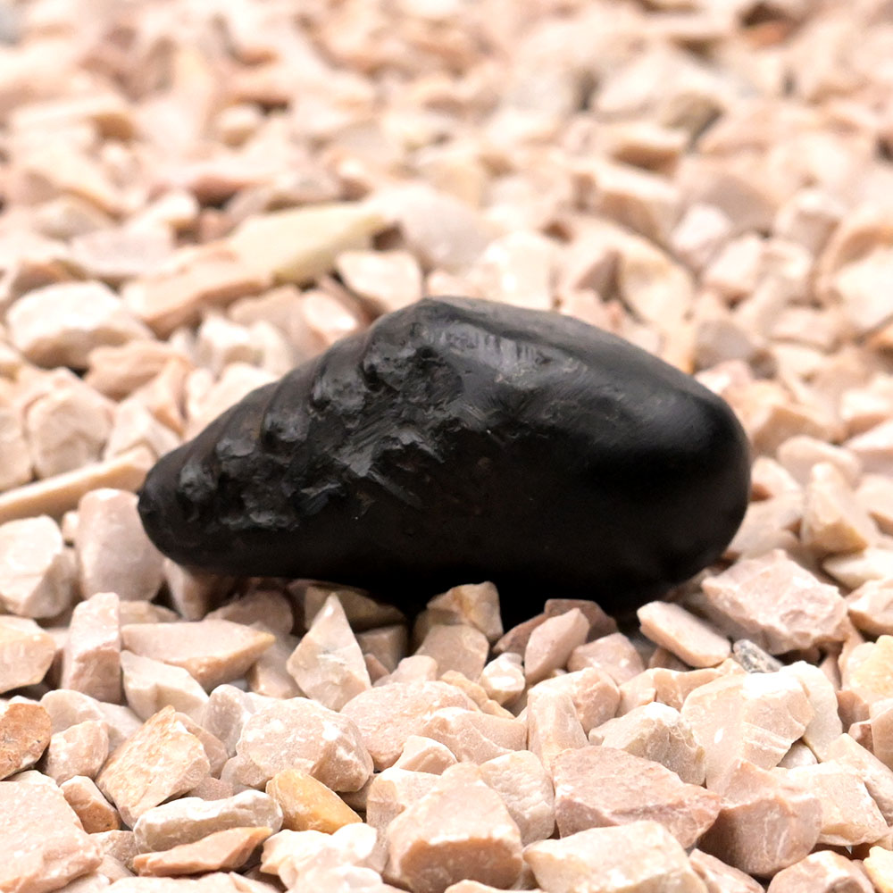 Swarna Matsya Murti Shaligram Shila