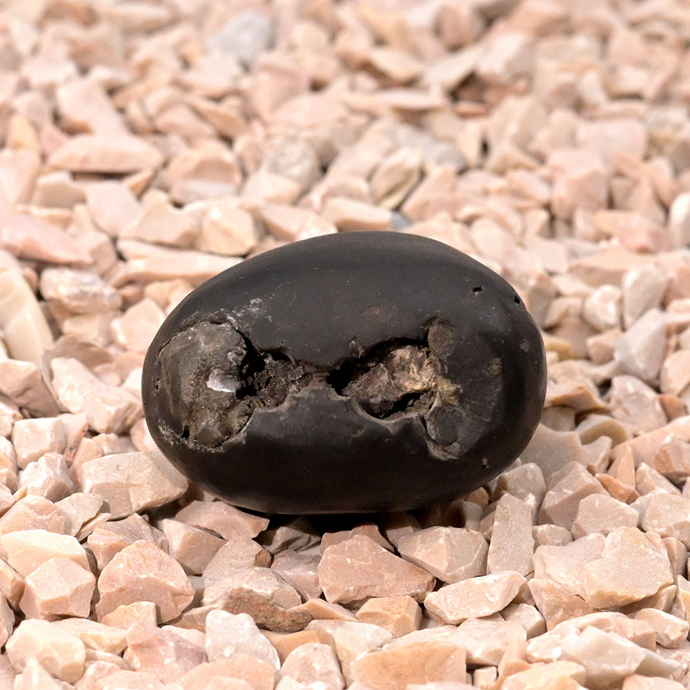 Ugra Laxmi Narsimha Shaligram Shila