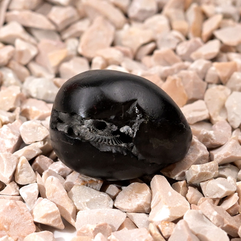 Narsimha Mahalaxmi Shaligram Shila