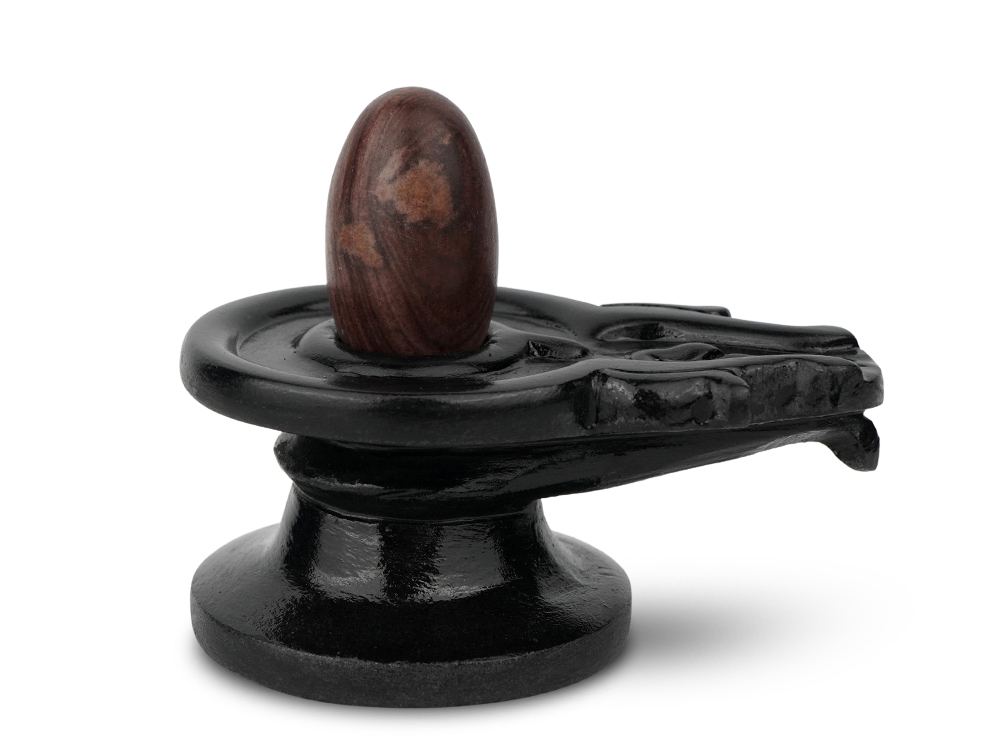Vishweshwara Narmada Lingam in Black Stone Jalhari