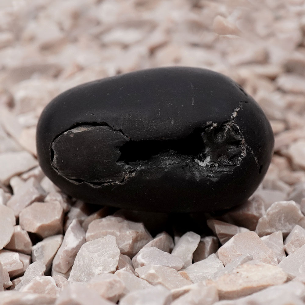 Chakradhari Vishnu Shaligram Shila - III