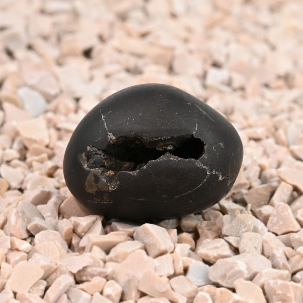 Somya Laxmi Narsimha Shaligram Shila