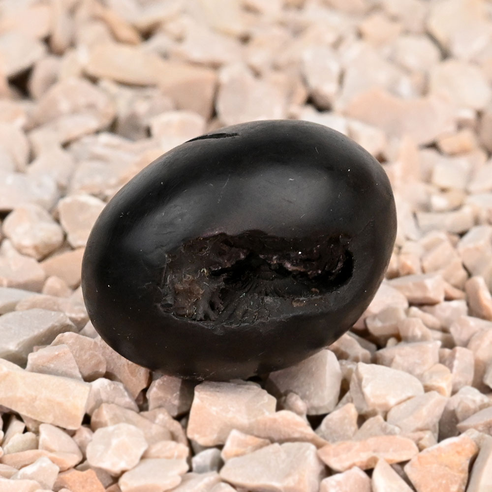 Brahma Chakra Laxmi Narsimha Shaligram Shila