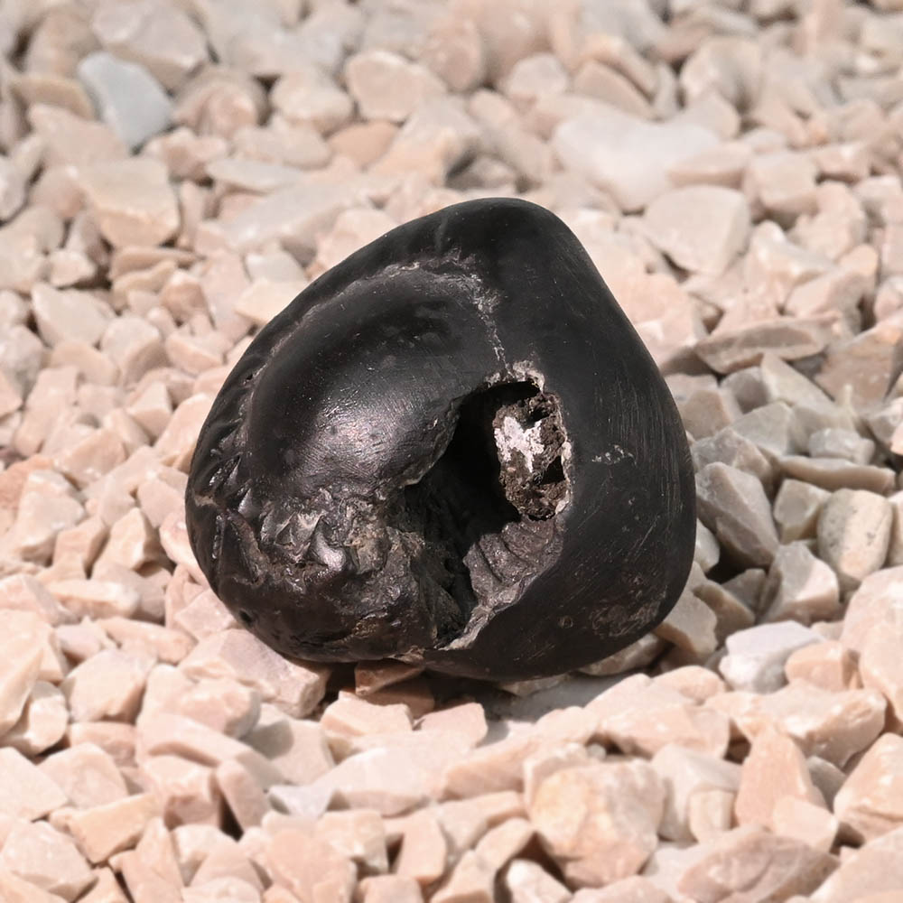 Chakradhari Laxmi Narsimha Shaligram Shila - 20 gms