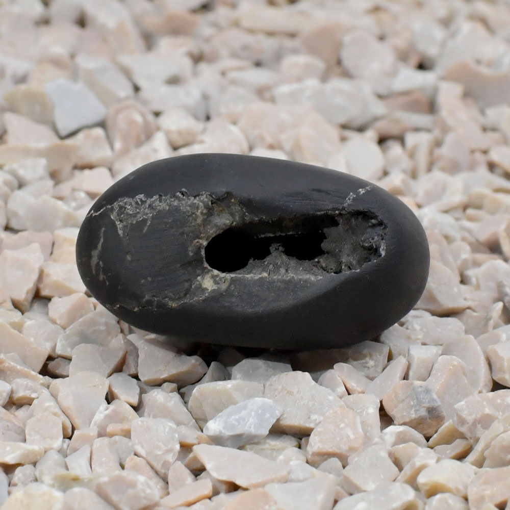Laxmi Narsimha Chakradhari Shaligram Shila