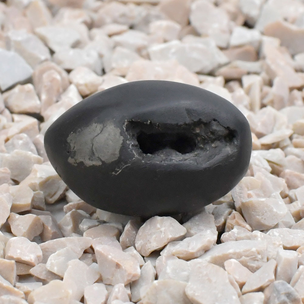 Swarna Vishnu Chakra Shaligram Shila