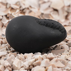 Ganesh Shaligram Shila - VI