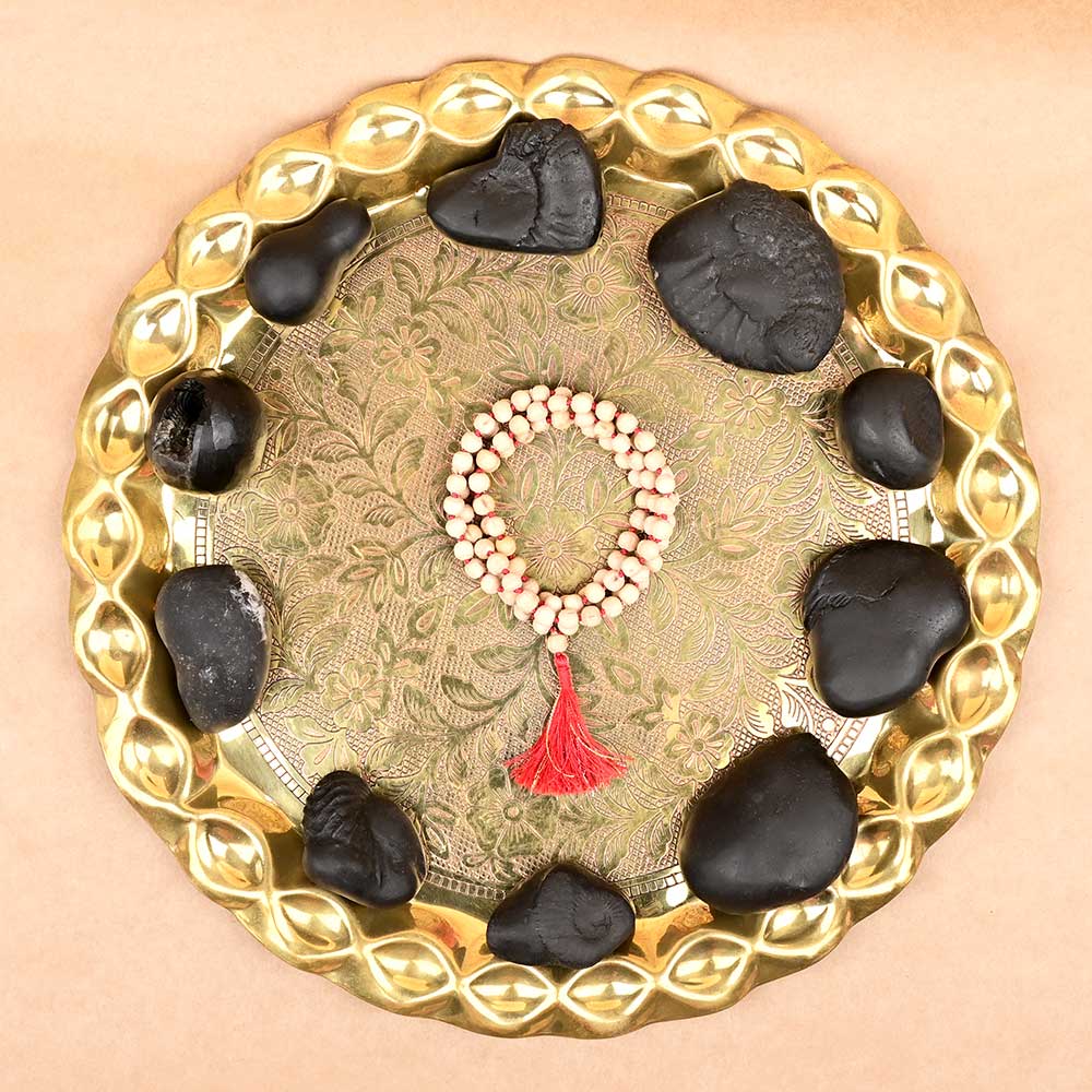 Dashavatar Vishnu Shaligram Shila Set of 10
