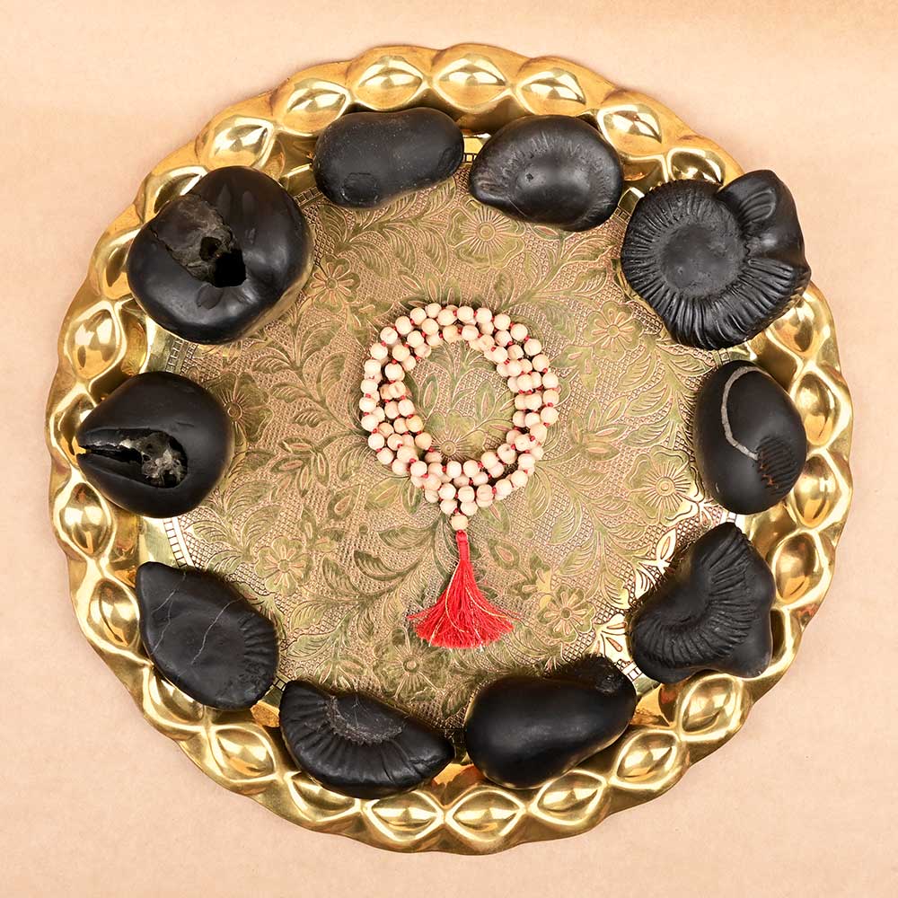 Dashavatar (10 Incarnations of Vishnu) Shaligram Shila Set of 10