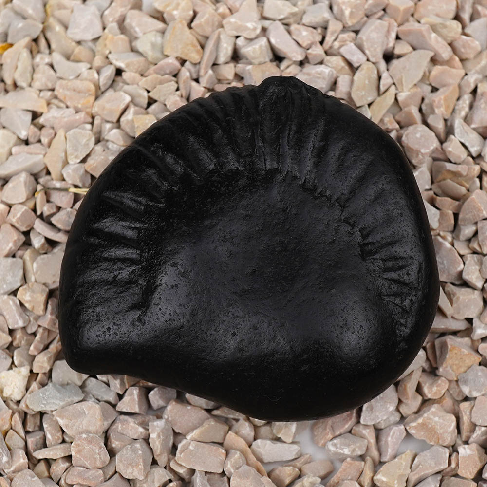 Varaha Avatar Shaligram Shila