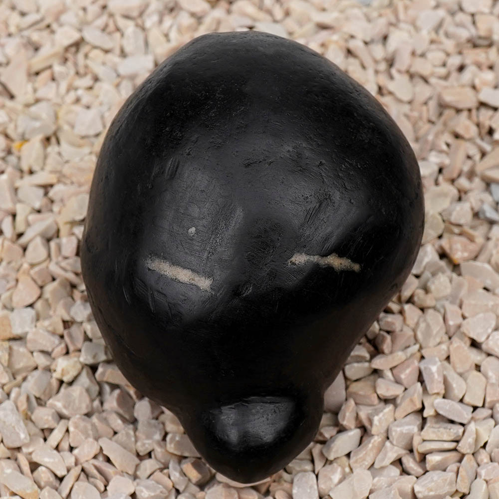 Maha Kurma Shaligram Shila