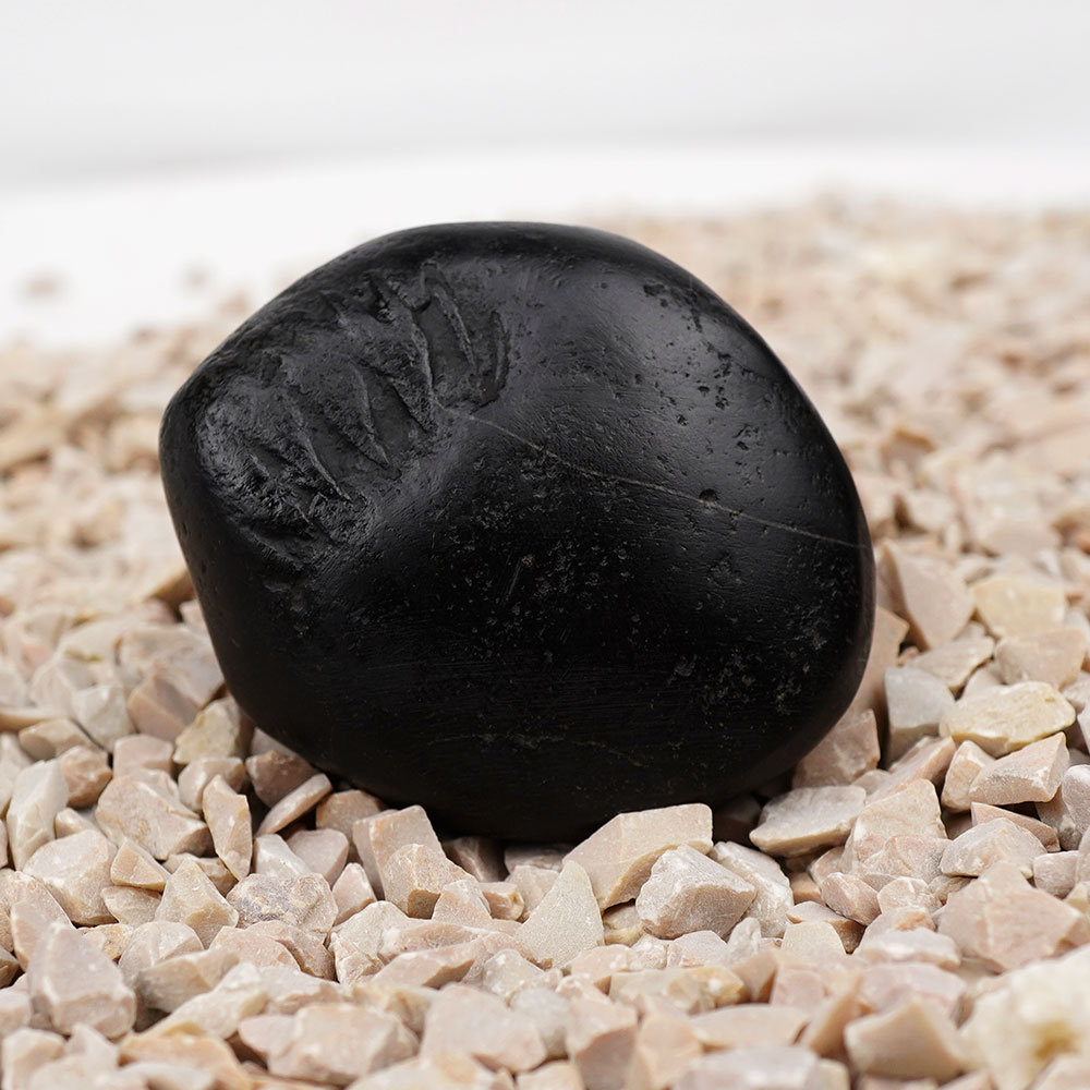 Ram Shaligram Shila