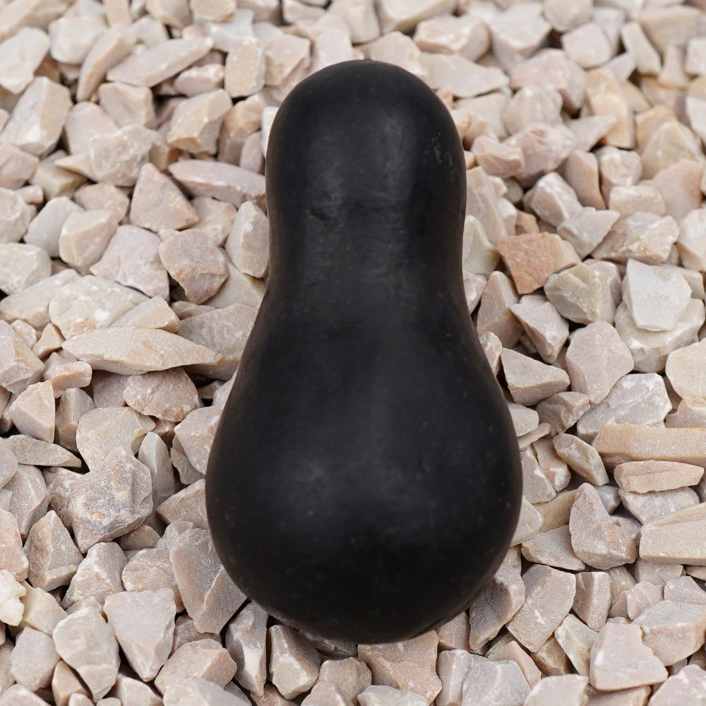 Santan Gopal Vaman Shaligram Shila