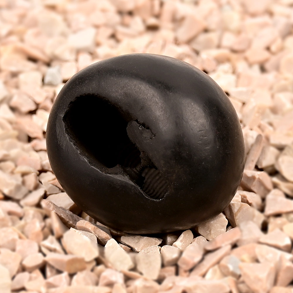 Laxmi Narsimha Shaligram Shila - 87 gms
