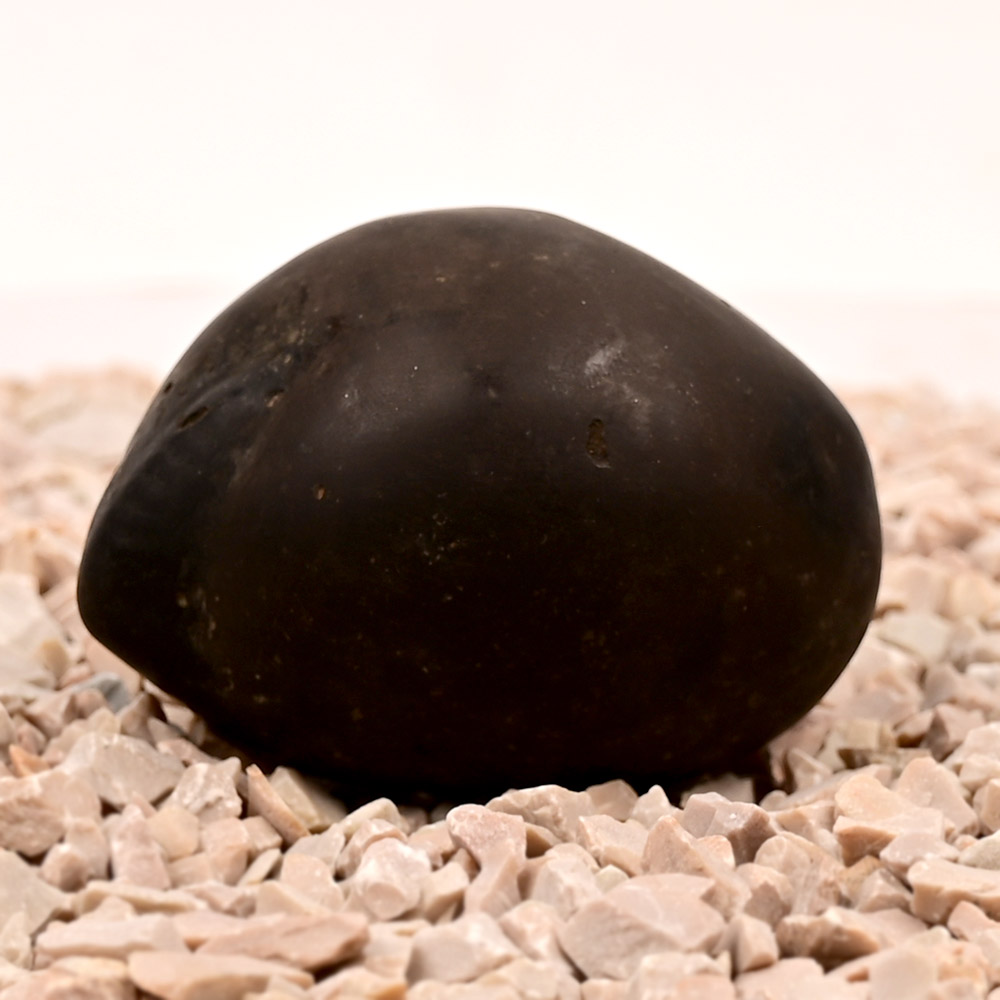Kuber Shaligram Shila - 148 gms
