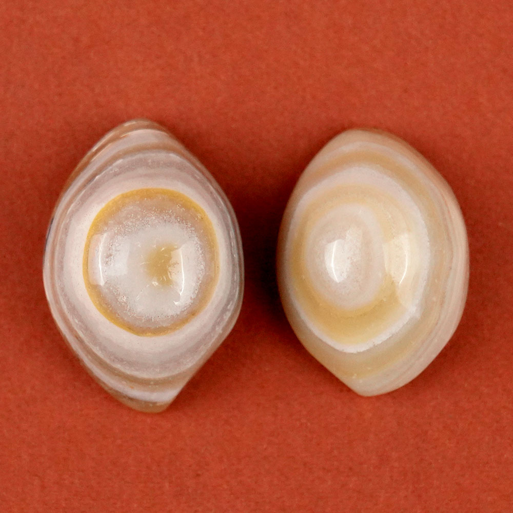 Natural Agate Eye (Set of 2) - XI
