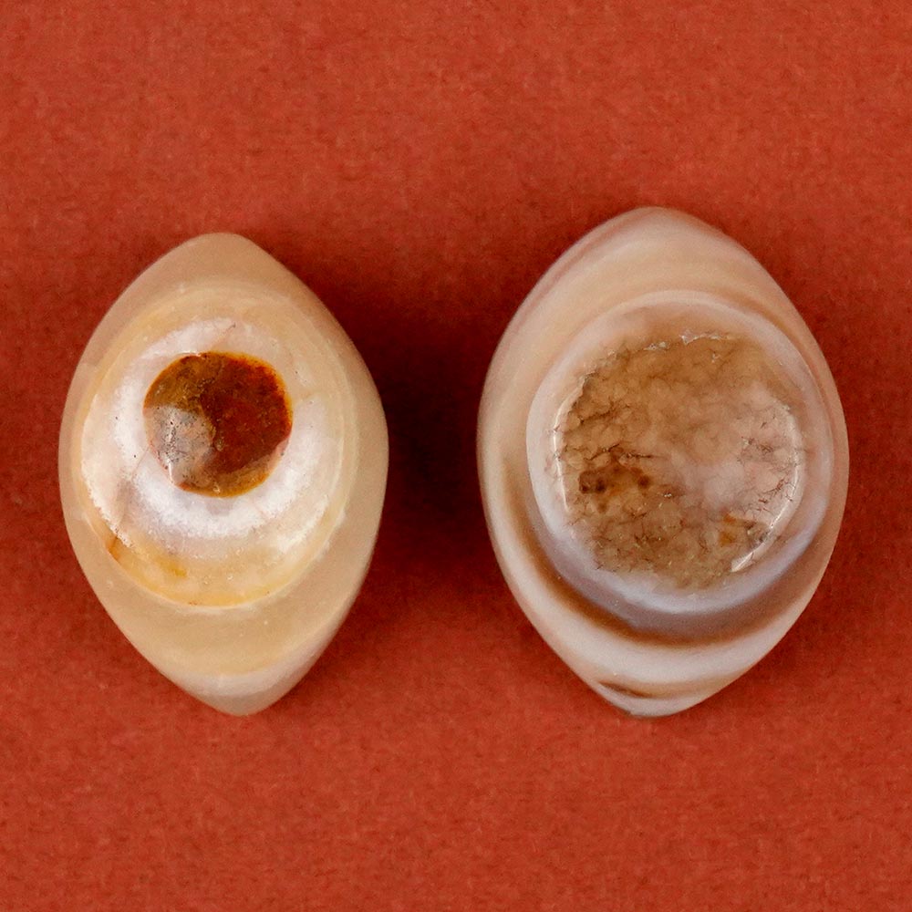 Natural Agate Eye (Set of 2) - XV