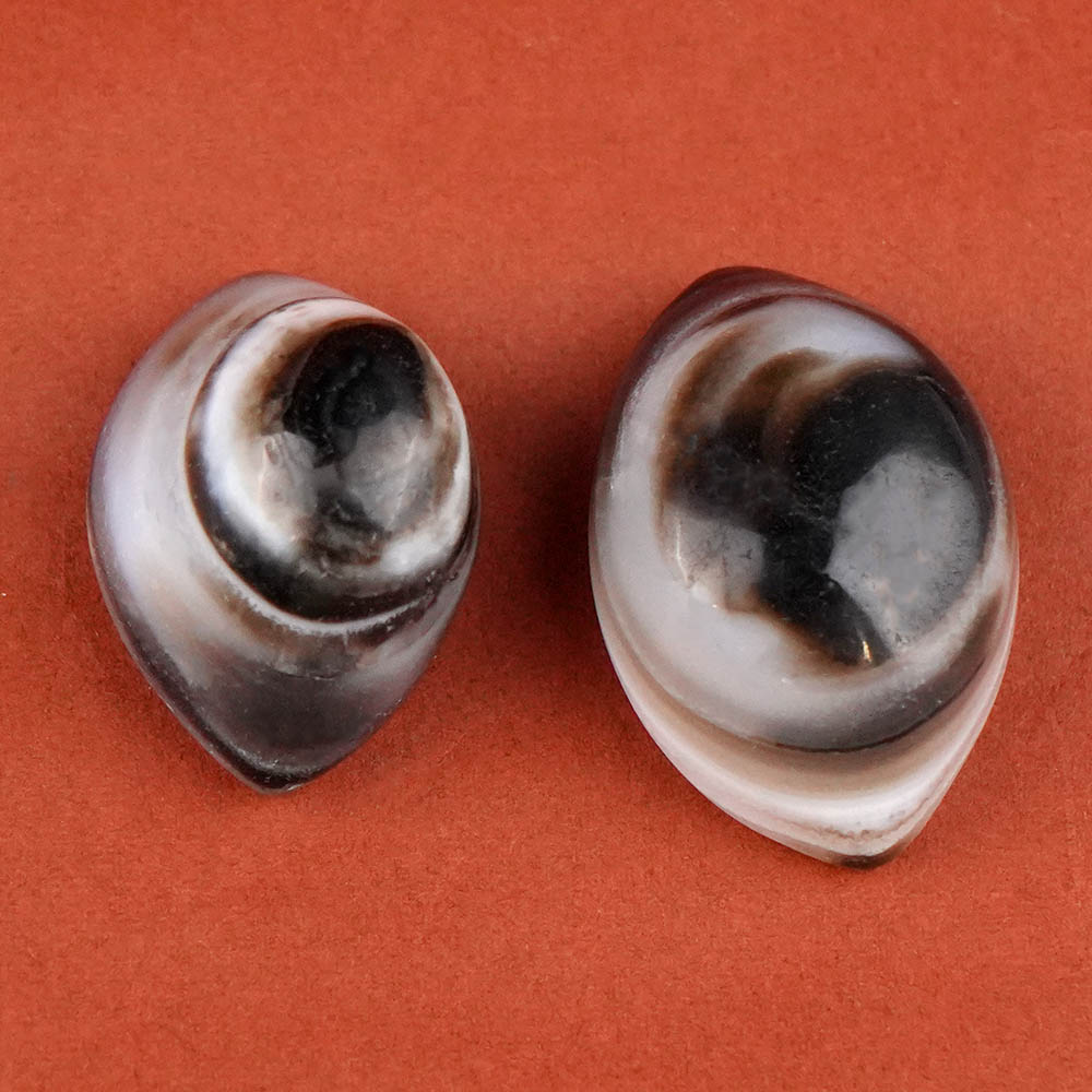 Natural Agate Eye (Set of 2) - XX