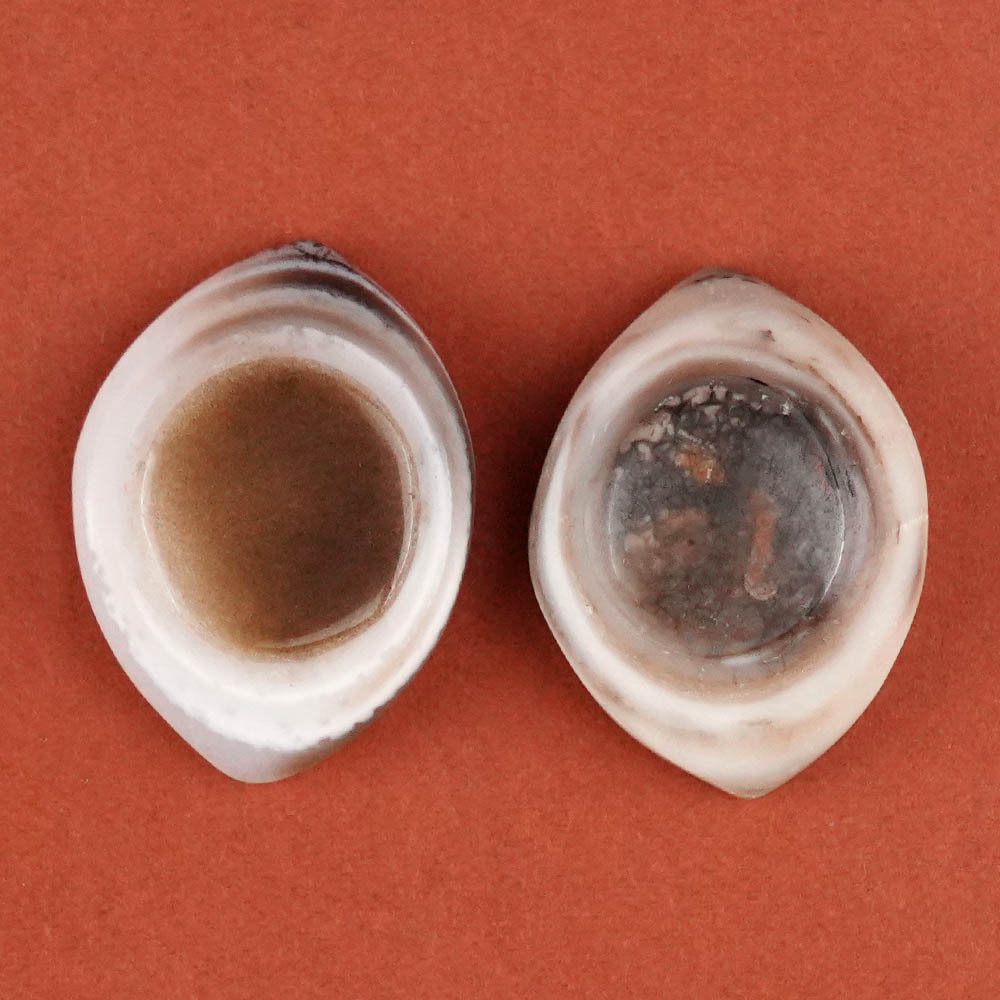 Natural Agate Eye (Set of 2) - XXV