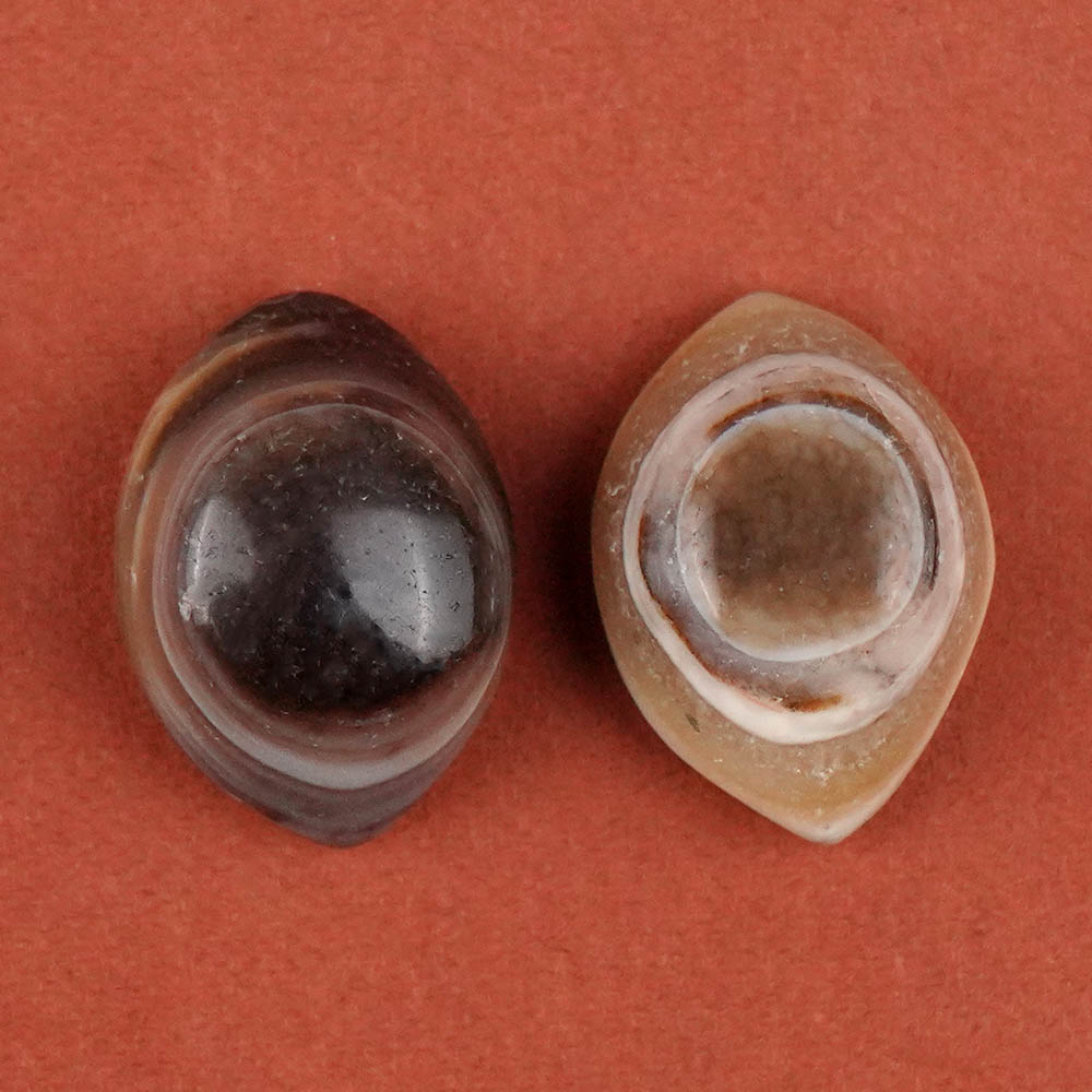 Natural Agate Eye (Set of 2) - XXVI