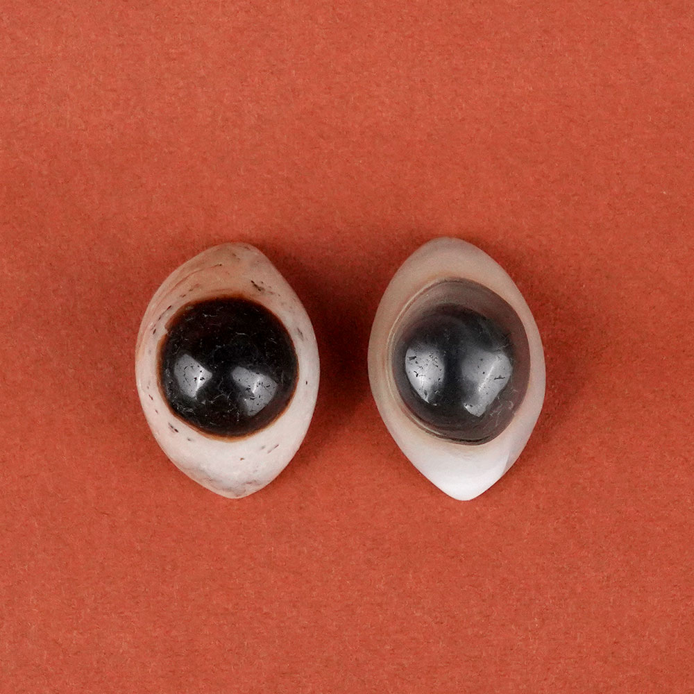 Natural Agate Eye (Set of 2) - XXVIII