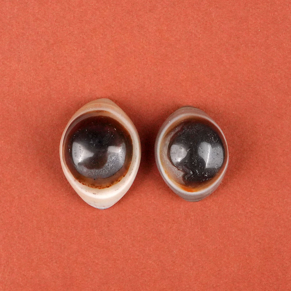 Natural Agate Eye (Set of 2) - XXIX