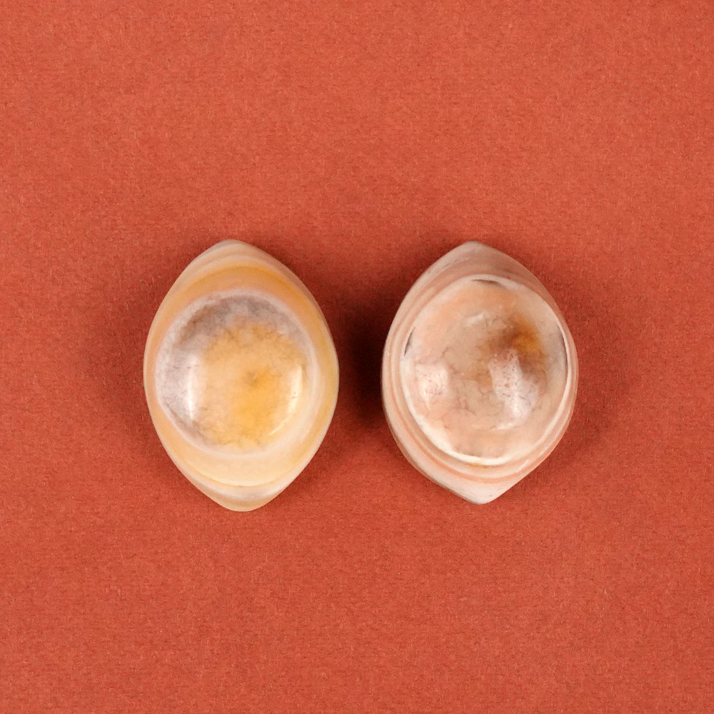 Natural Agate Eye (Set of 2) - XLIII