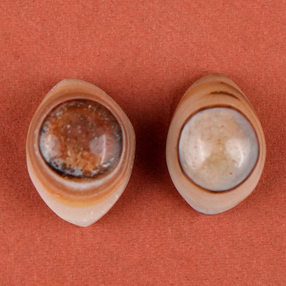 Natural Agate Eye