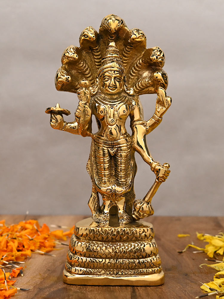 Narayan Brass Idol on Sheshnaag