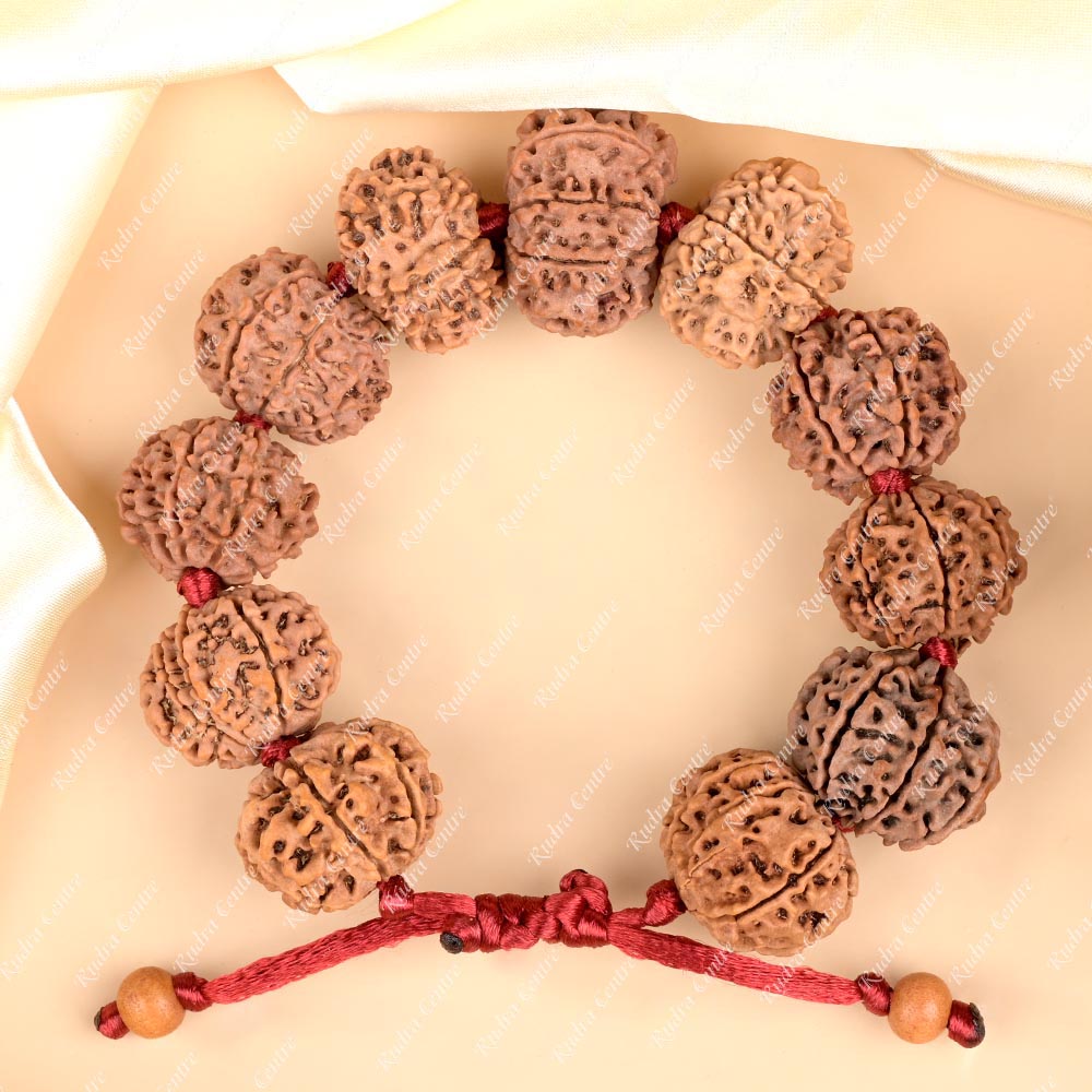 10 Mukhi Nepali Rudraksha Adjustable Bracelet