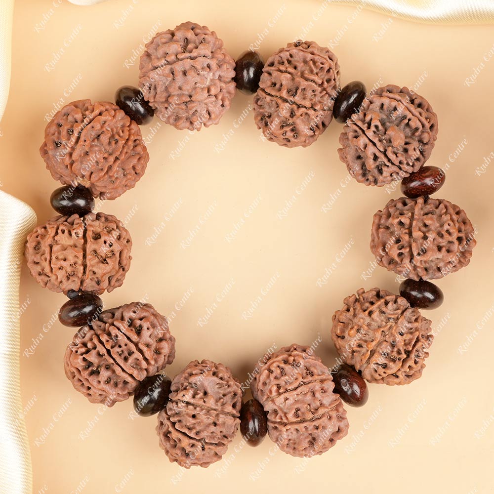 10 Mukhi Nepali Rudraksha x Red Sandalwood Bracelet
