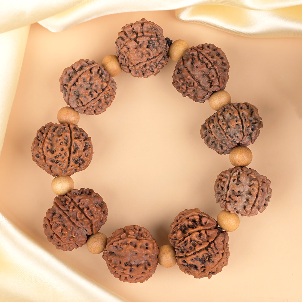 10 Mukhi Nepali Rudraksha x White Sandal Bracelet
