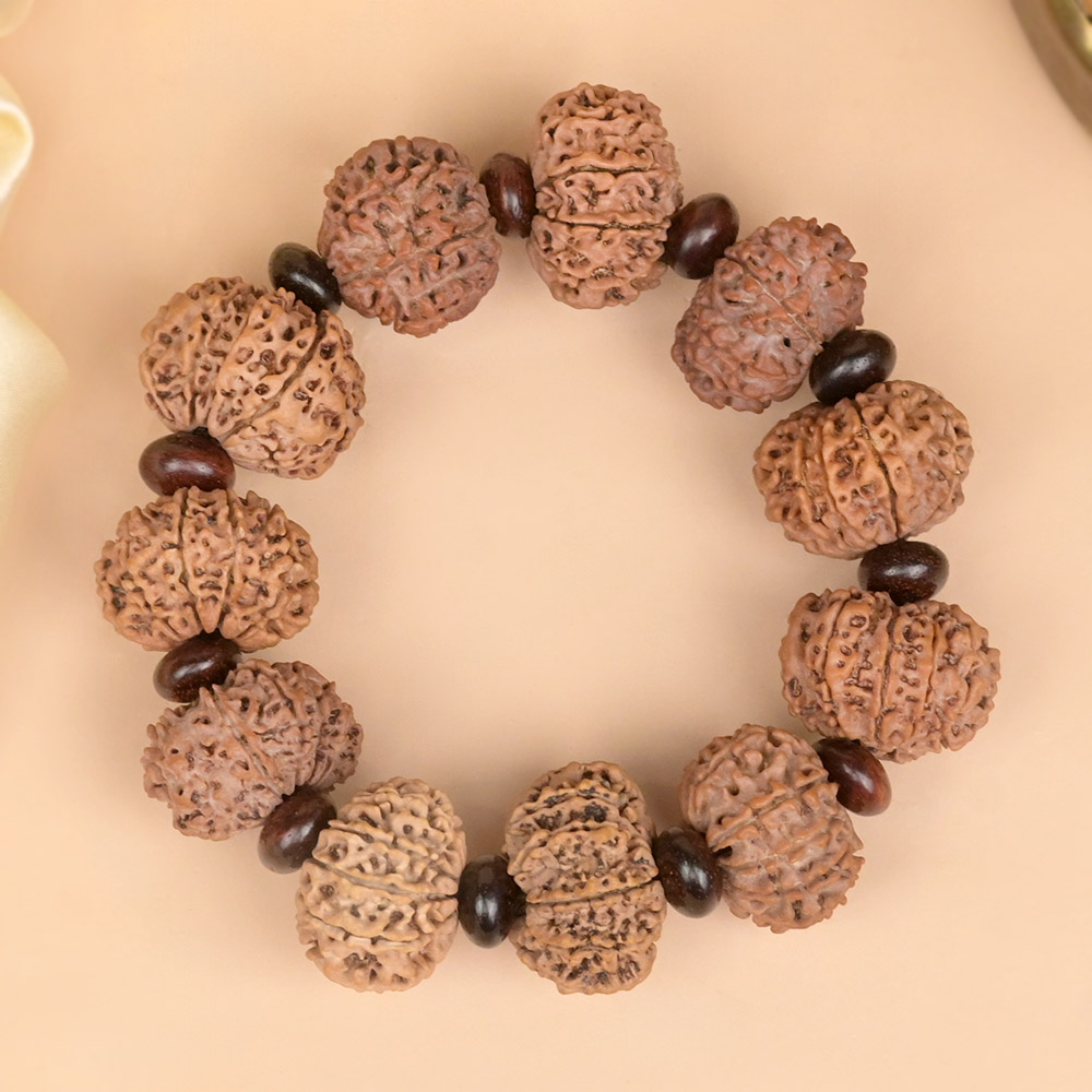 13 Mukhi Nepali Rudraksha x Red Sandalwood Bracelet