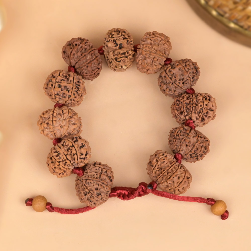 14 Mukhi Nepali Rudraksha Adjustable Bracelet