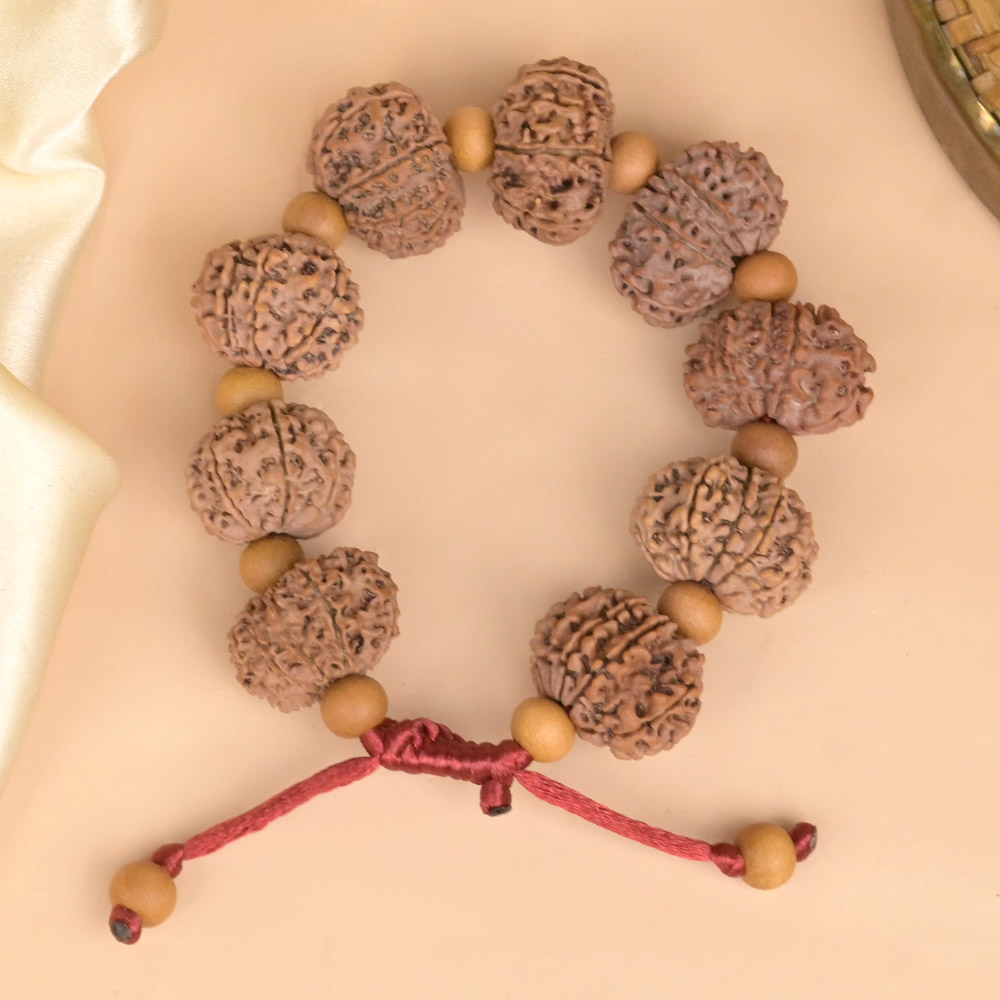 14 Mukhi Nepali Rudraksha x White Sandal Adjustable Bracelet