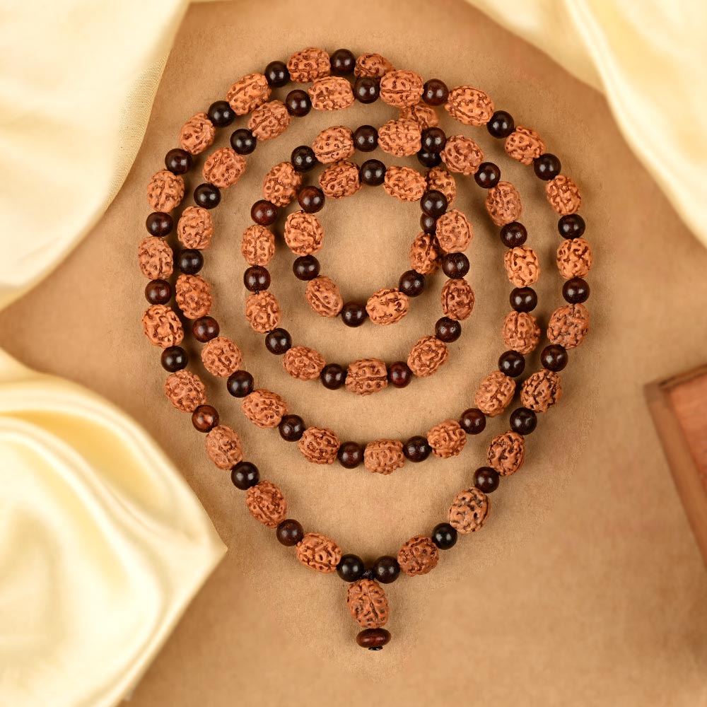3 Mukhi Rudraksha x Red Sandalwood Mala