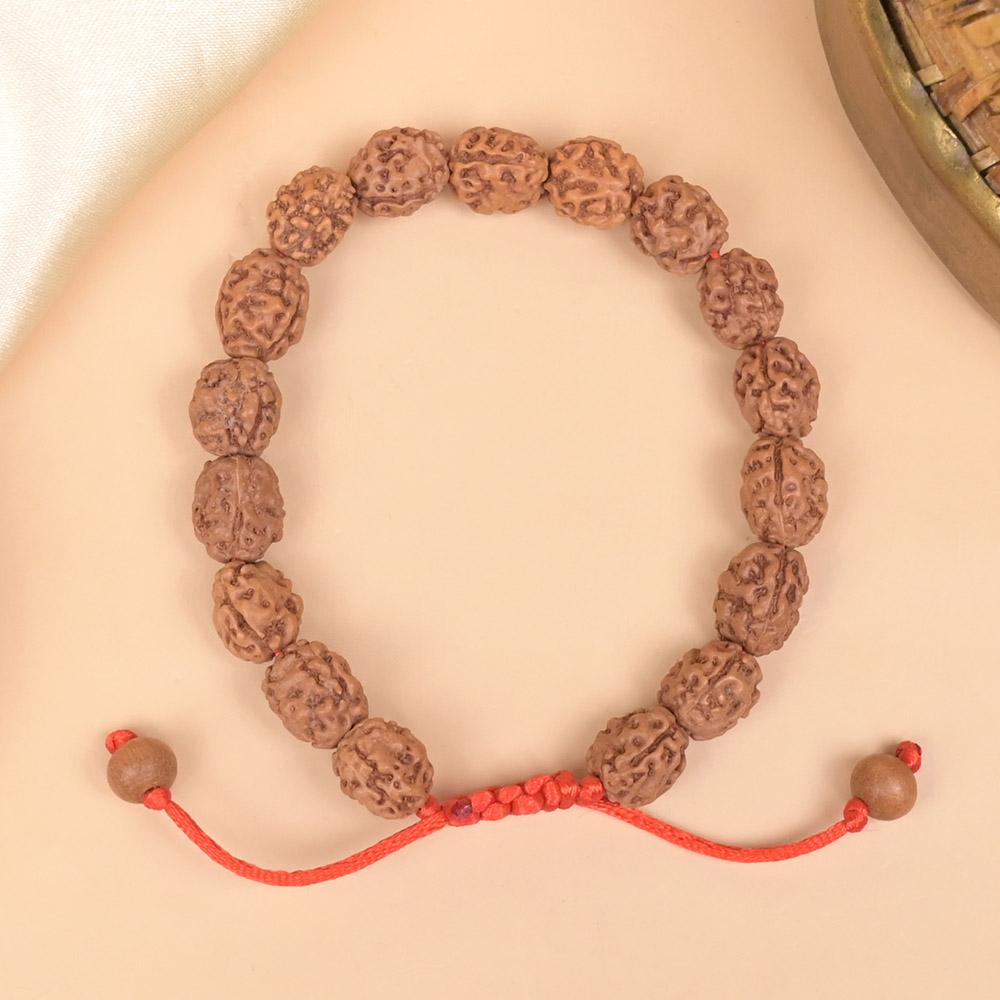 3 Mukhi Rudraksha Adjustable Bracelet