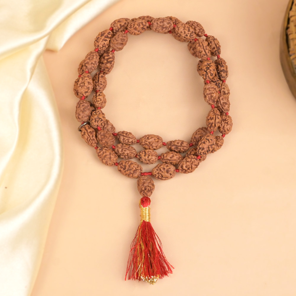 2 Mukhi Rudraksha Mala