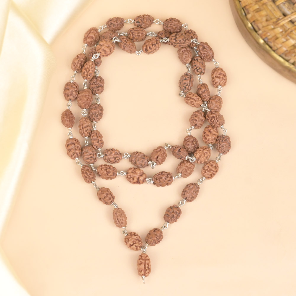 2 Mukhi Rudraksha Silver Wire Mala