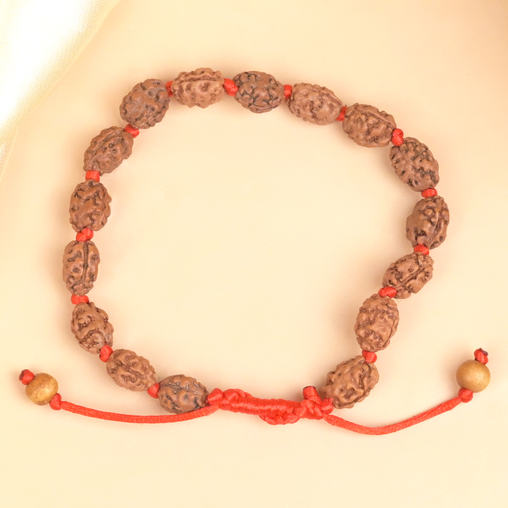 2 Mukhi Rudraksha Adjustable Bracelet