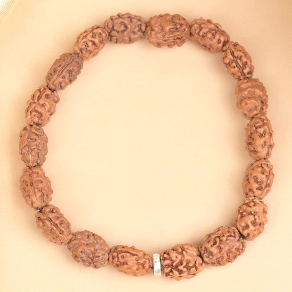 2 Mukhi Rudraksha Bracelet