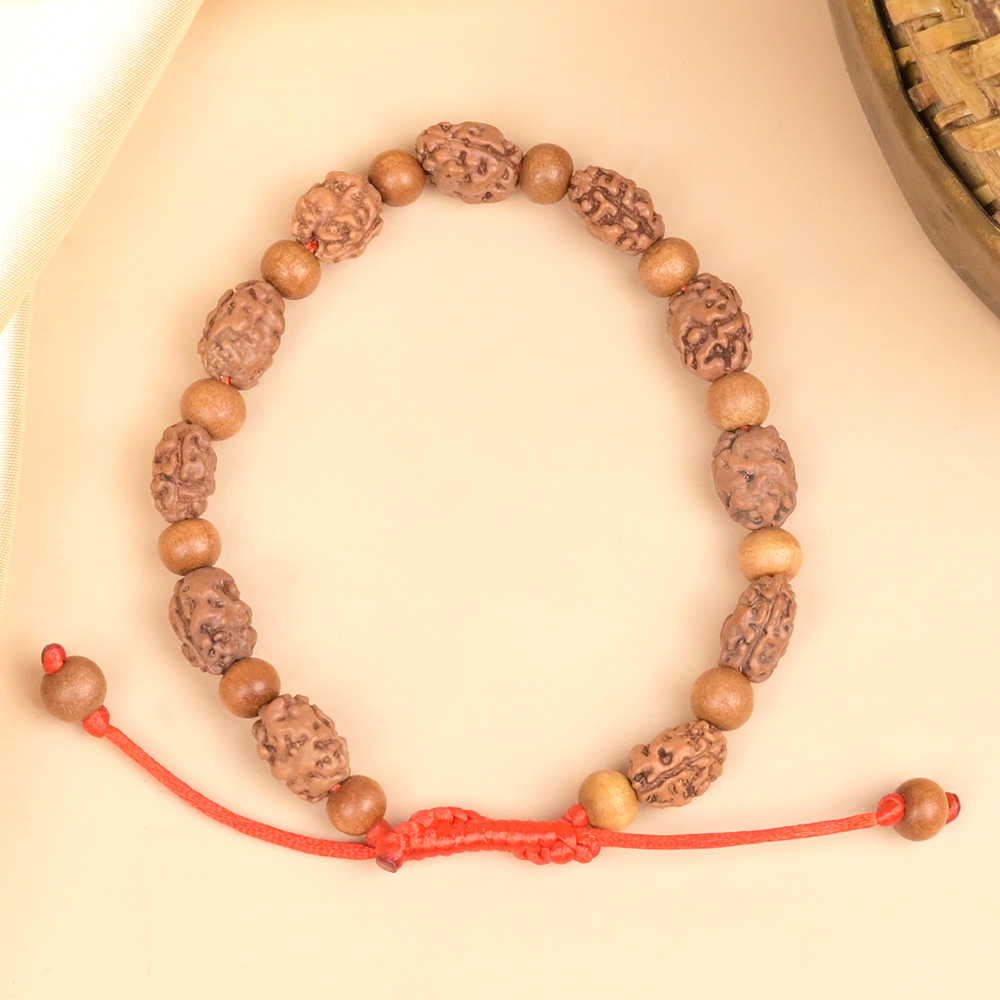 2 Mukhi Rudraksha & White Sandalwood Adjustable Bracelet