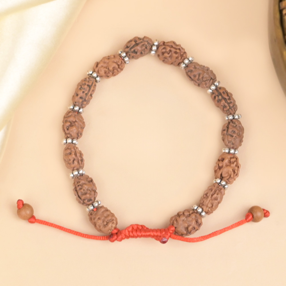 2 Mukhi Rudraksha Silver Chakri Bracelet