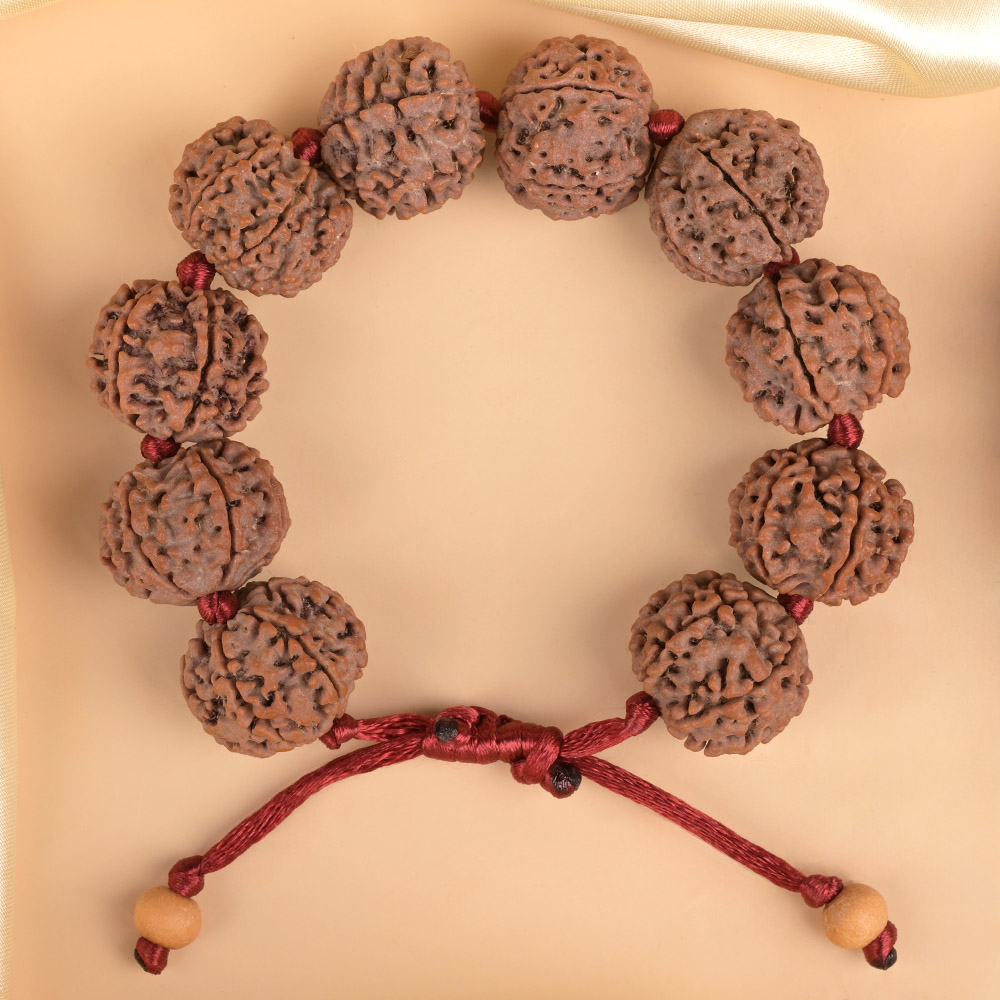 6 Mukhi Nepali Rudraksha Adjustable Bracelet