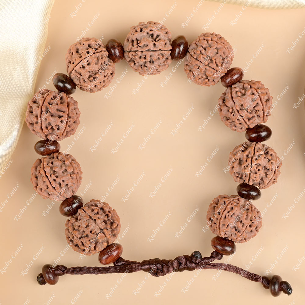 6 Mukhi Nepali Rudraksha x Red Sandal Adjustable Bracelet
