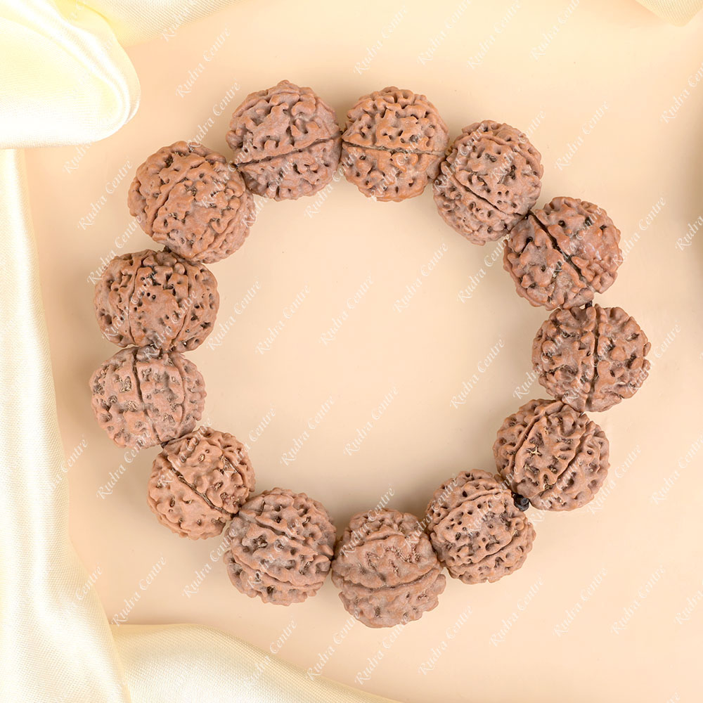 6 Mukhi Nepali Rudraksha Bracelet