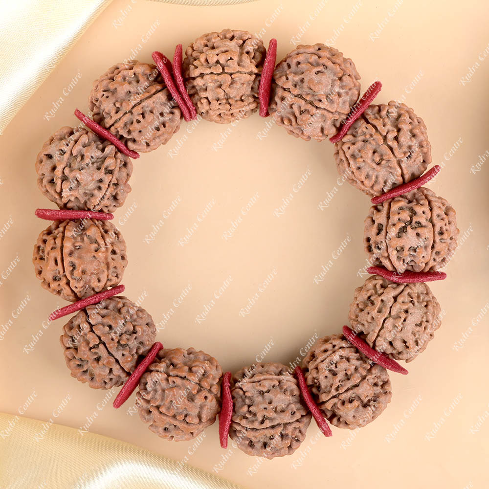 6 Mukhi Nepali Rudraksha Woolen Spacers Bracelet